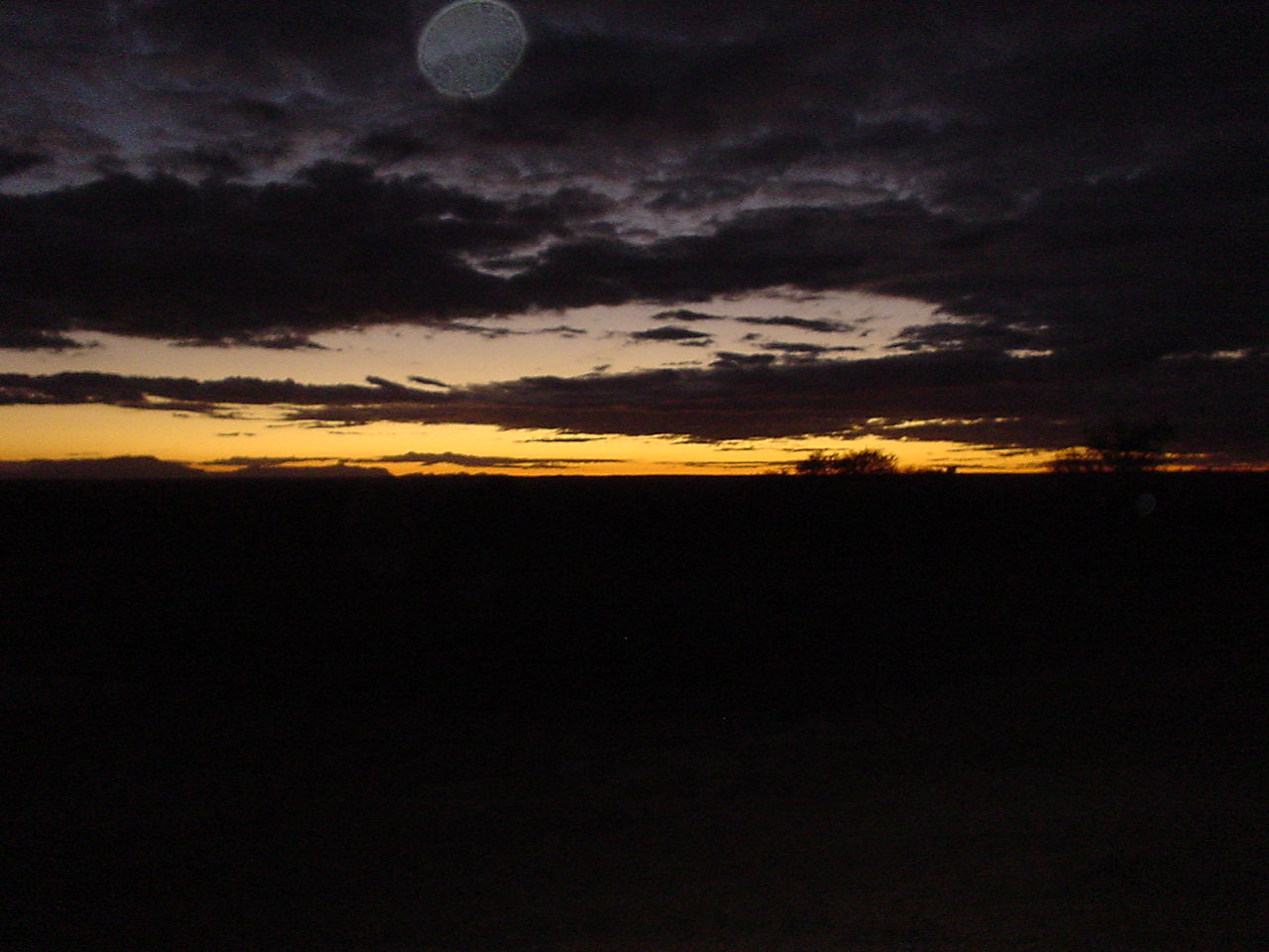 South African bushveld sunset in Kruger National Park